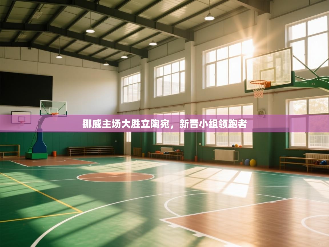 -挪威主场大胜立陶宛，新晋小组领跑者  第1张