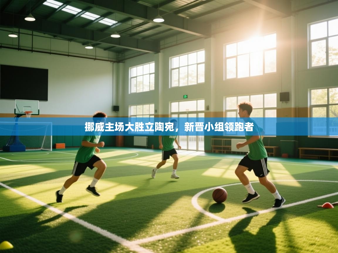 -挪威主场大胜立陶宛，新晋小组领跑者  第4张