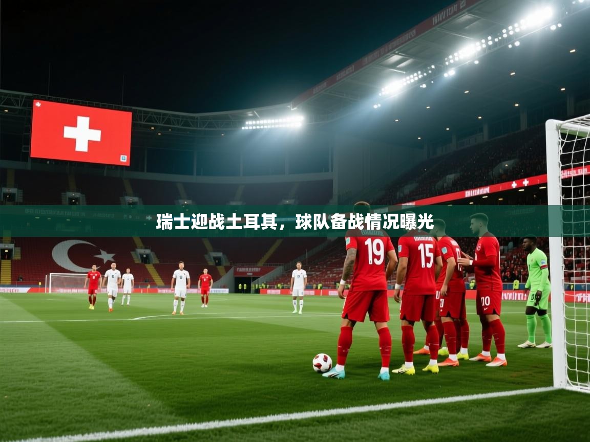 开云体育会员VIP开通-瑞士迎战土耳其,球队备战情况曝光 第3张